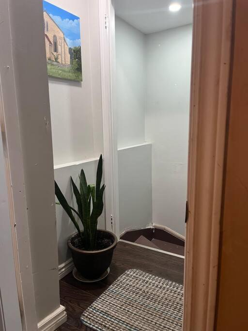 Bernie's Basement Apartment *